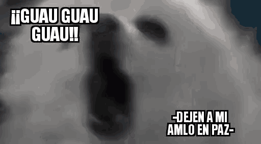 a close up of a polar bear 's face with its mouth open and a caption .