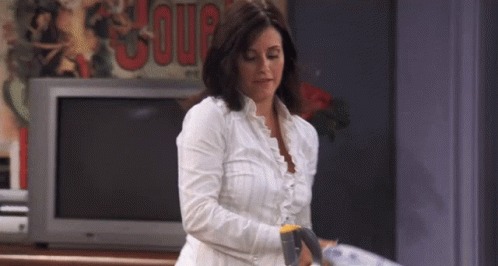 Friends Monica Geller GIF - Friends Monica Geller If Only There Were A Smaller One GIFs