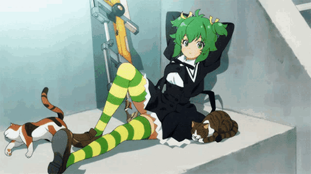 a girl with green hair and green and yellow striped socks sits on a ledge with three cats