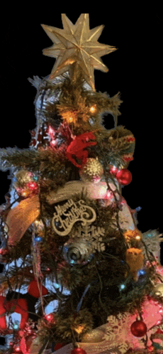 a christmas tree has a star on top and a merry christmas sign