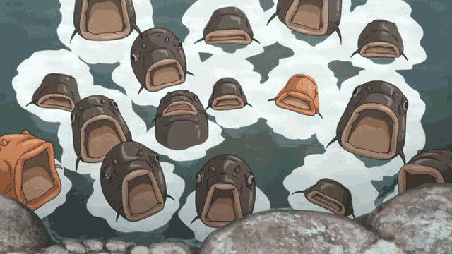a bunch of fish with their mouths open are swimming in the water