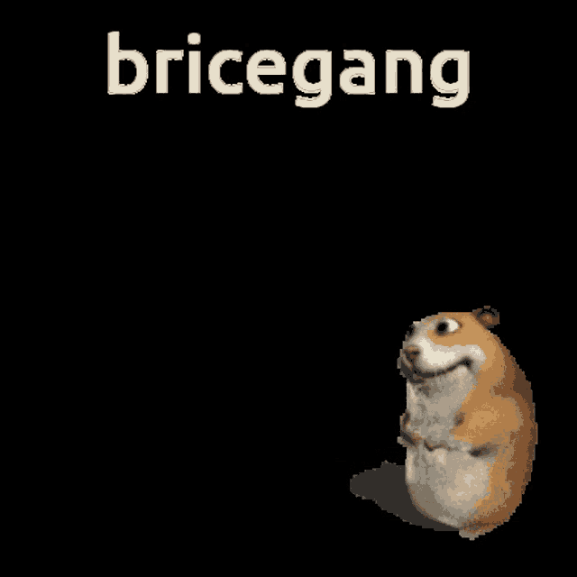 Bricegang GIF - Bricegang Brice GIFs