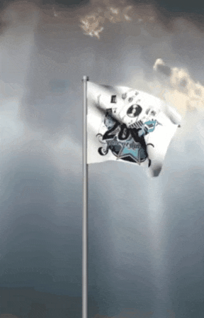 a white flag with a picture of a skull on it is flying in the wind