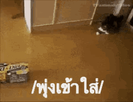 a cat is playing with a stack of dove chewy bars