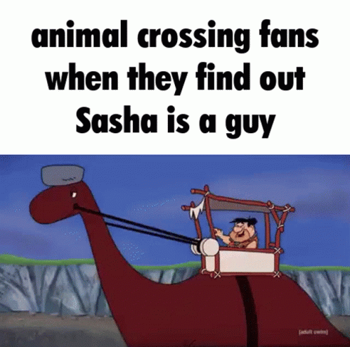 Animal Crossing Sasha GIF - Animal Crossing Sasha Trap GIFs