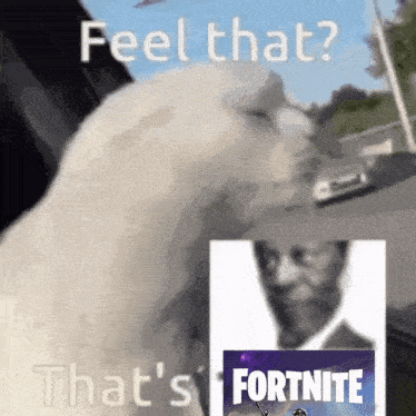 a white cat is looking at a picture of a man with a sword and the words feel that that 's fortnite on it
