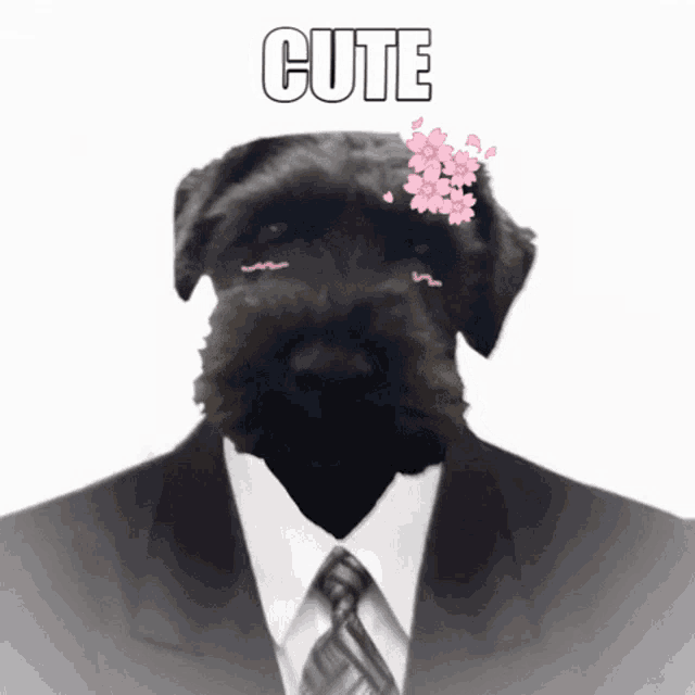 a picture of a dog in a suit with the word cute above it