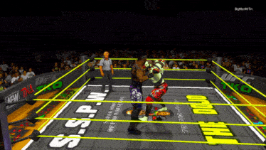 two wrestlers are fighting in a ring that says s.s.p.w. on it