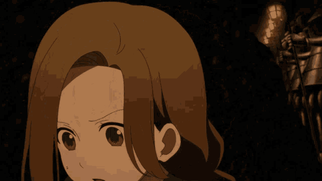 a close up of a woman 's face with long brown hair