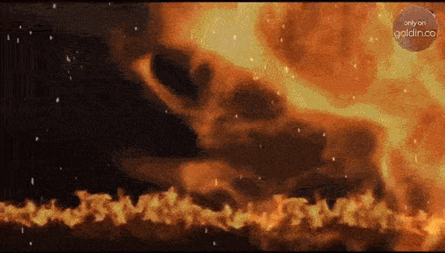 a graphic of a fire with the words only on goldfish visible