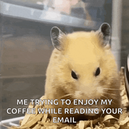 a hamster is sitting on a pile of shredded paper with the caption me trying to enjoy my coffee while reading your email