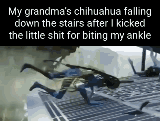 a chihuahua is falling down the stairs after being kicked in the ankle