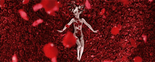 Rose Petals GIF - Rose American Beauty GIFs