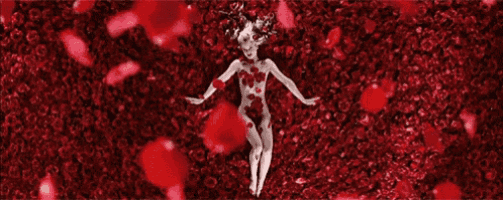 a woman in a swimsuit is surrounded by red roses