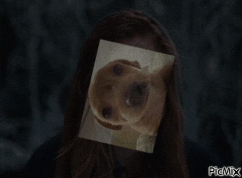 a picture of a dog with a woman 's face behind it and the words picmix below it