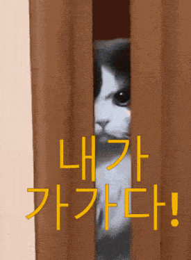 a picture of a cat peeking out from behind a curtain with chinese writing