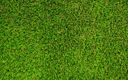 a close up of a lush green grass field