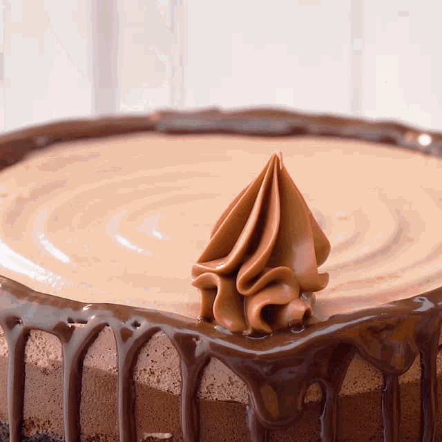 a close up of a chocolate cake with chocolate frosting