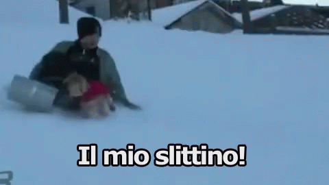 Slittino Slitta Neve Inverno Cane Da Slitta Ladro Di Slittini GIF - Sledge Snow Winter GIFs