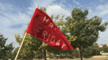 Happy Friday Friday GIF