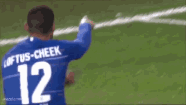 a soccer player wearing a blue jersey with the number 12 on the back