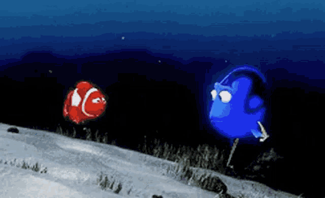 a blue fish and a red fish are swimming in the ocean .