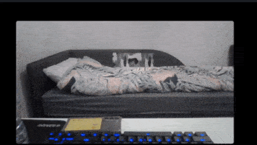 Wipe GIF