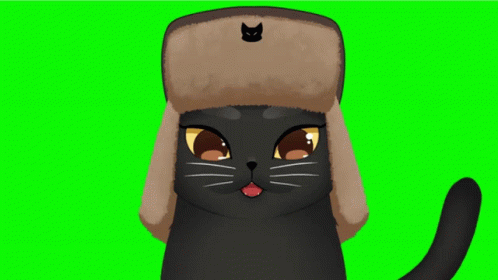 Kuroshka Marah Kucing Rusia GIF - Kuroshka Marah Kucing Rusia Black Cat Angry GIFs