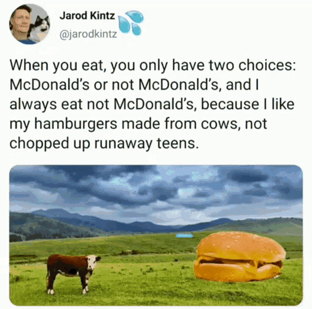 a cow standing in a grassy field next to a hamburger and a man