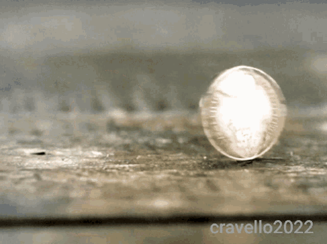 Coin Flip Coin Toss GIF - Coin Flip Coin Toss Heads Or Tails GIFs
