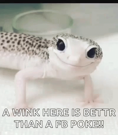 Wink Gecko GIF - Wink Gecko Smile GIFs