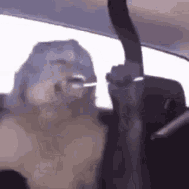 a dog is smoking a cigarette in a car .
