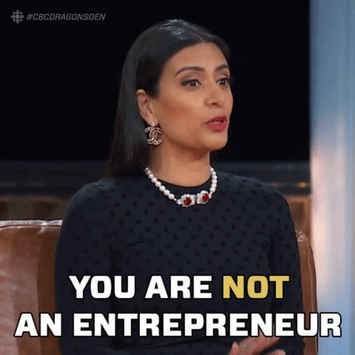 You Are Not An Entrepreneur Manjit Minhas GIF - You Are Not An Entrepreneur Manjit Minhas Dragons Den GIFs