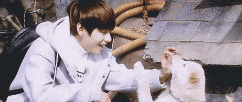 a young man in a white hoodie is petting a small white dog .