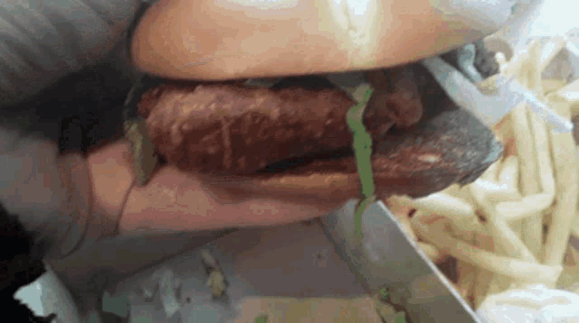 a person is holding a hamburger and french fries in their hand .
