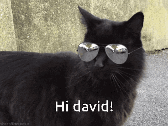 David Hi GIF - David Hi Royasterr GIFs