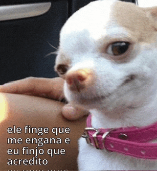 a small dog wearing a pink collar is being held by a person