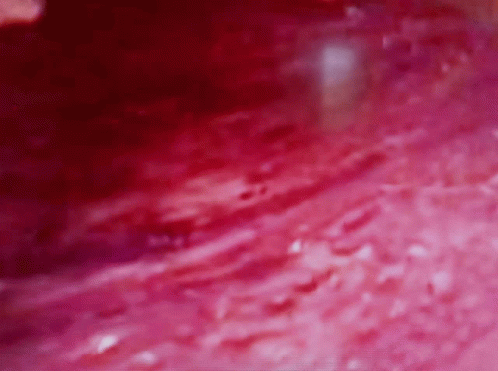 Red Floor GIF - Red Floor Zoomed GIFs