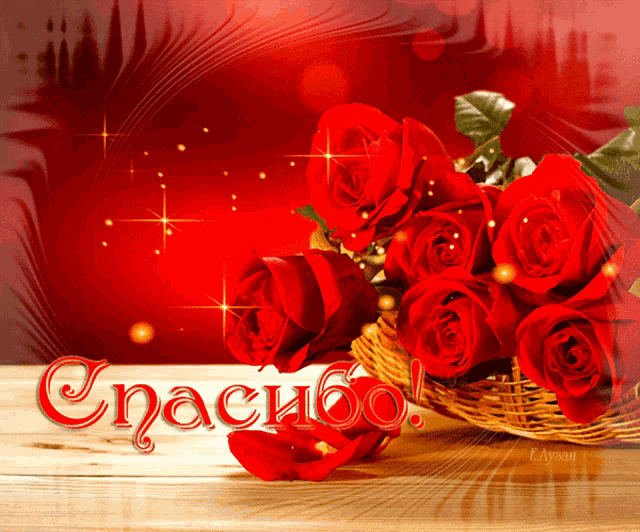 a bouquet of red roses sits on a table with the word спасибо in red