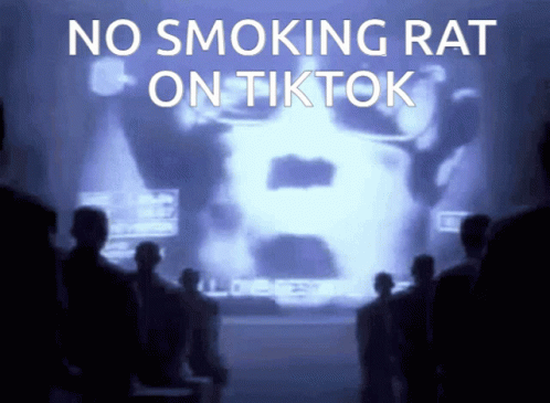 No Smoking Rat GIF - No Smoking Rat Tiktok GIFs