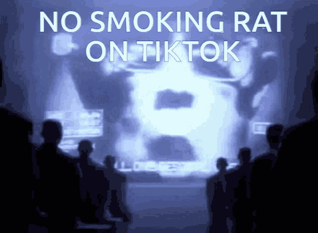 a poster that says no smoking rat on tik tok