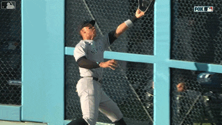 Aaron Judge GIF
