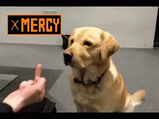 Undertale Mercy GIF - Undertale Mercy Fight GIFs