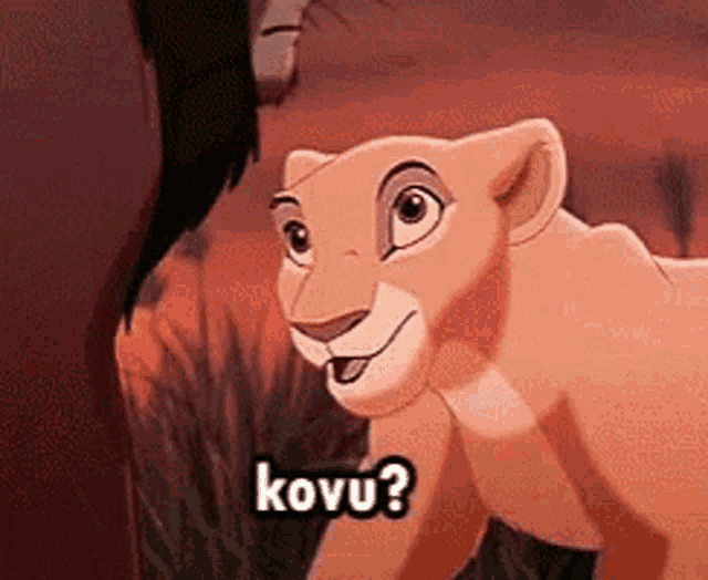 a lion cub from the lion king is asking a question