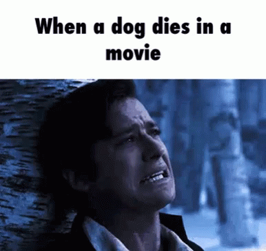 Dogs Cry GIF - Dogs Cry Hurt GIFs