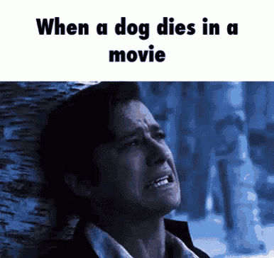 a man is crying while leaning against a wall with the words `` when a dog dies in a movie '' above him .