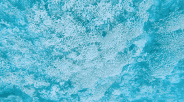 a person in a wet suit is swimming in a body of water
