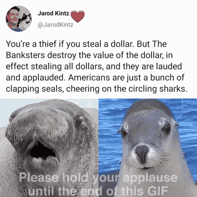 Clapping Seals Smile GIF - Clapping Seals Smile Youre A Theif GIFs