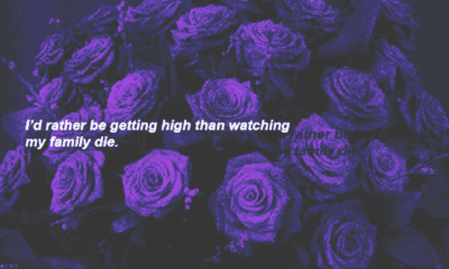 a bunch of purple roses with the words " i 'd rather be getting high than watching my family die " on top