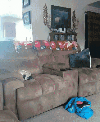 Room View GIF - Room View Couch GIFs